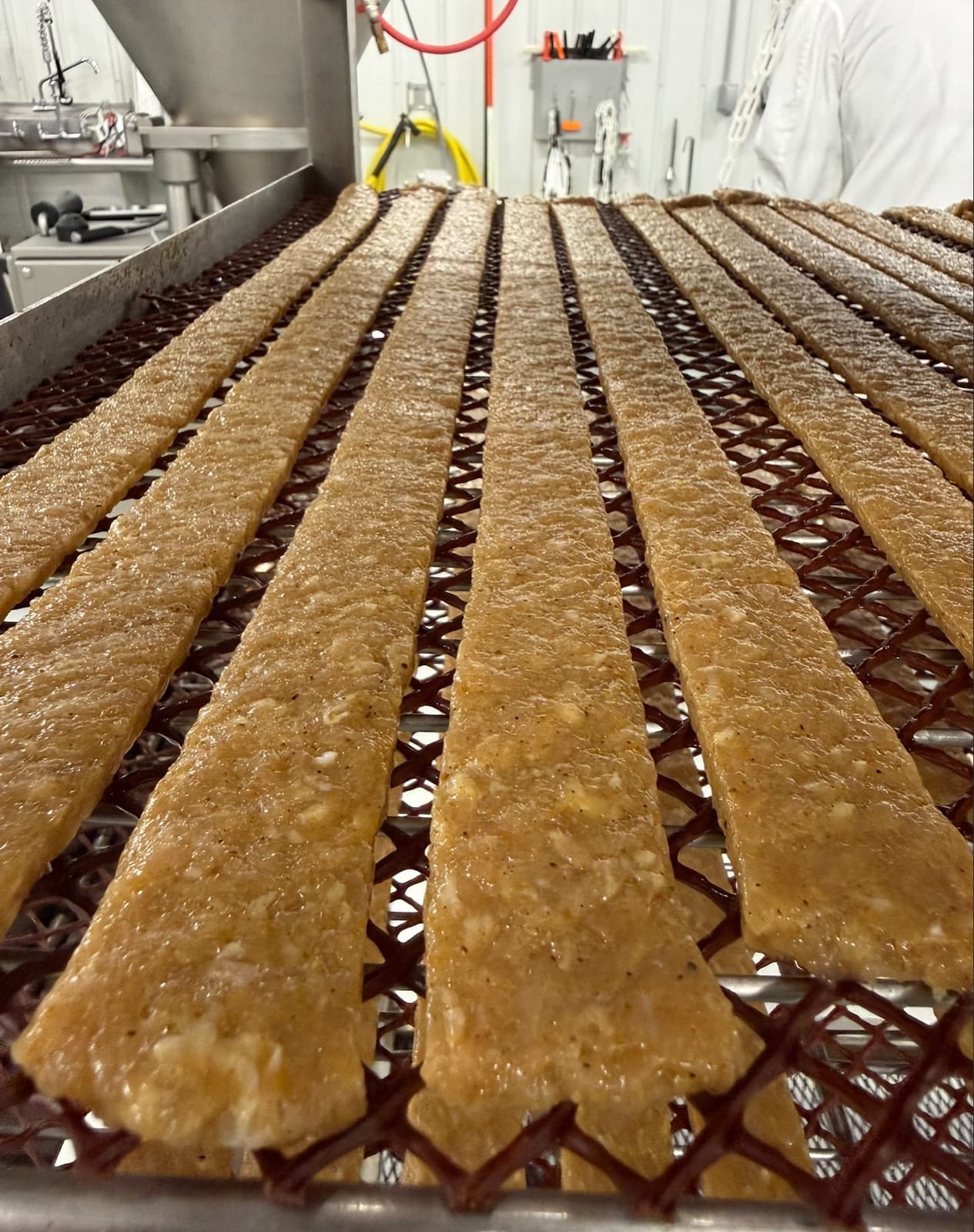Jerky strips formed by the Meat Bot — uniform rows, even spacing